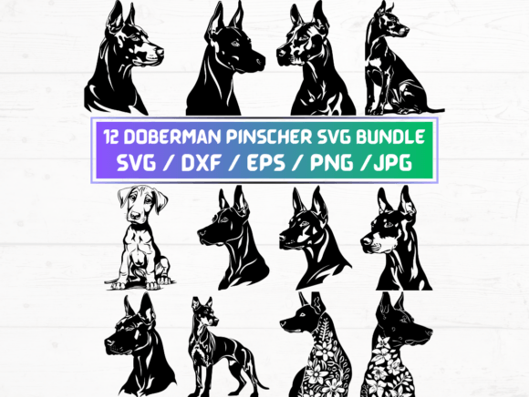 12 Doberman Pinscher Dog Svg Bundle for Graphics and Crafts