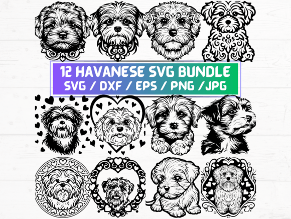 12 Havanese Svg Graphics for Crafts