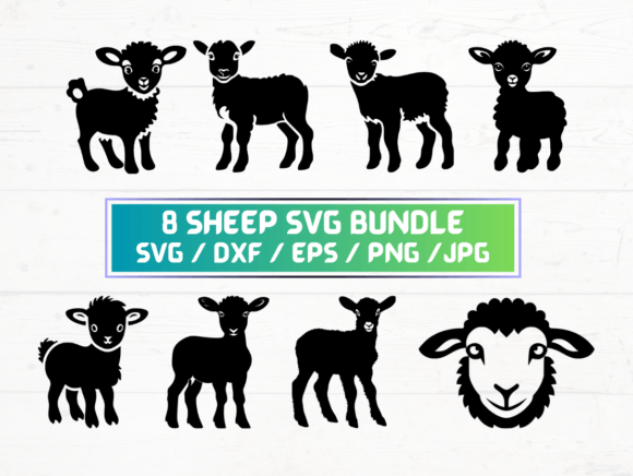 8 Sheep SVG Bundle Graphics for Crafts