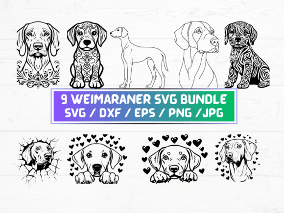 9 Weimaraner Svg Bundle for Modern Graphics and Crafts
