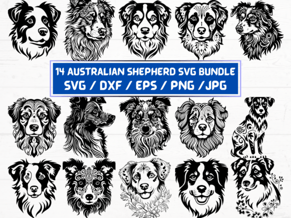 Australian Shepherd SVG File: A Graphic Asset for Creative Publishers