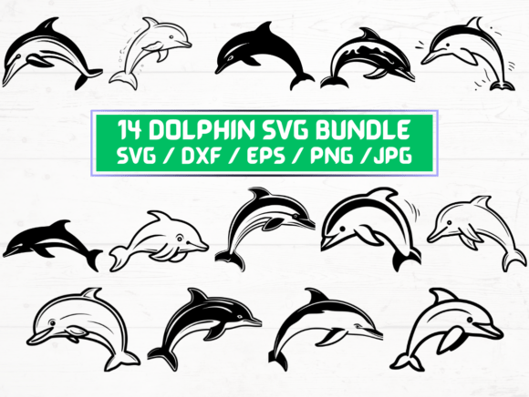 Dolphin SVG File: Graphics for Crafts & Local Branding