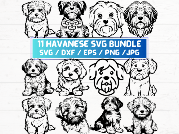 Graphics for Crafts: Havanese Dog Svg Bundle