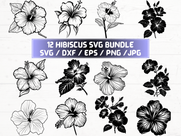 Hibiscus Flower Graphics for Crafts & Content Publishing