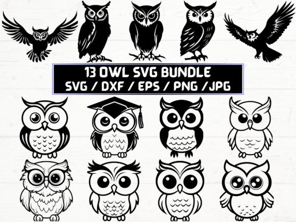 Owl SVG Graphics for Crafts & Digital Selling