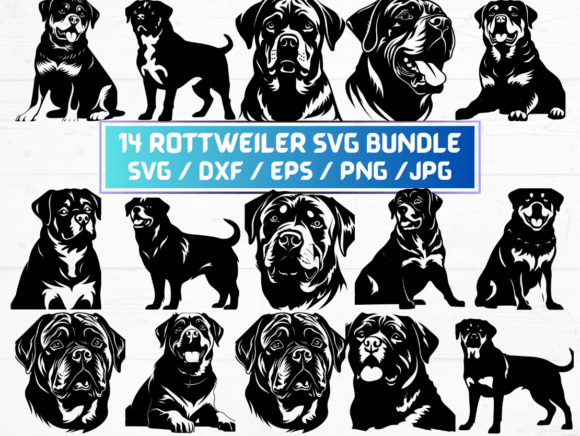 Rottweiler Svg File for Crafts and Graphics