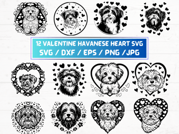 Valentine Havanese Heart SVG Bundle: A Graphic Designer’s Take